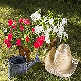 100 piezas mezcla blanca roja Semillas de impatiens Ampliamente cultivadas todo el mundo es flor ornamental importante también es una buena opción para hacer flores cortadas con otras flores